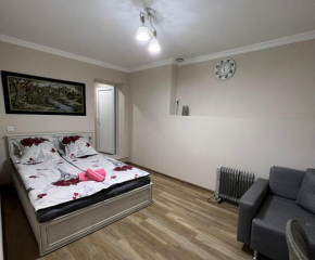 Apartment Studio N1